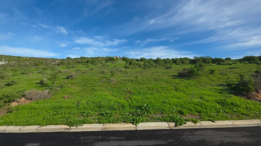 0 Bedroom Property for Sale in Saldanha Heights Western Cape